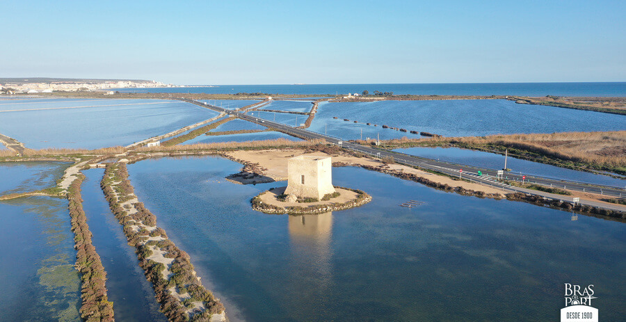 Salinas Santa Pola